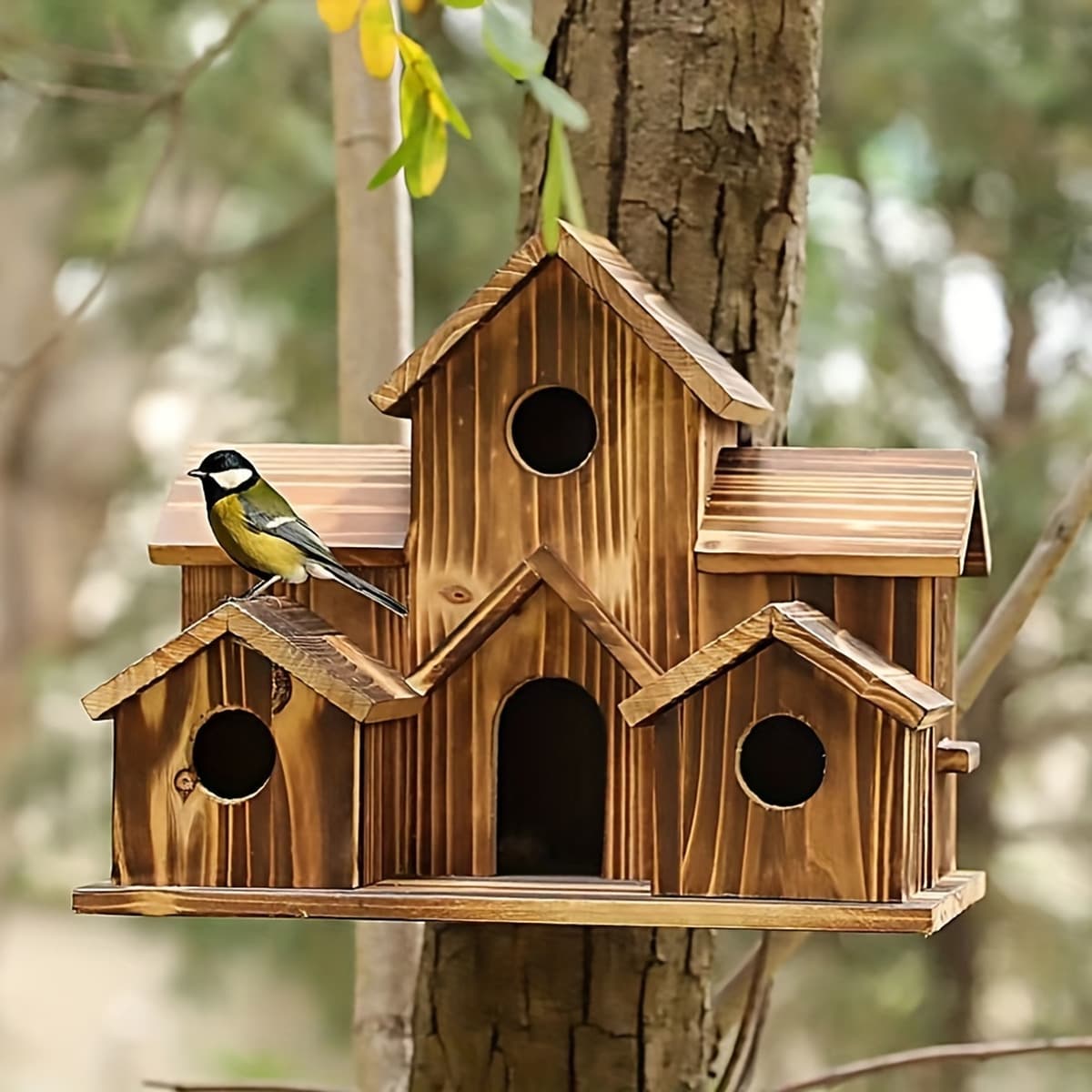 Grand nichoir collectif en bois brûlé à plusieurs loges fixé sur un arbre