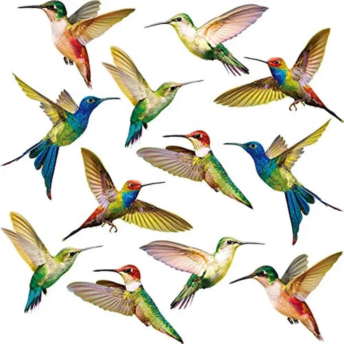Six motifs adhésifs colorés en forme d'oiseau pour marquage de vitrage